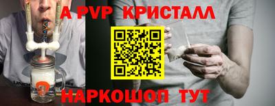 мет Кингисепп
