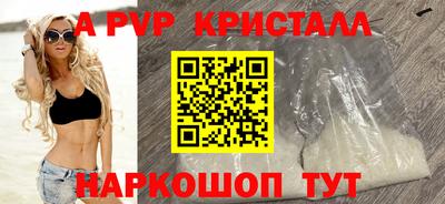 мет Кингисепп