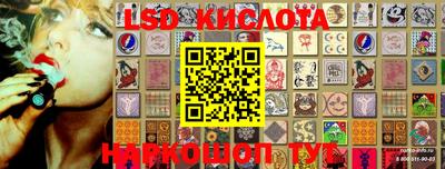 мет Кингисепп