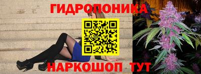 мет Кингисепп