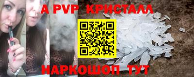 мет Кингисепп