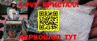 мет Кингисепп